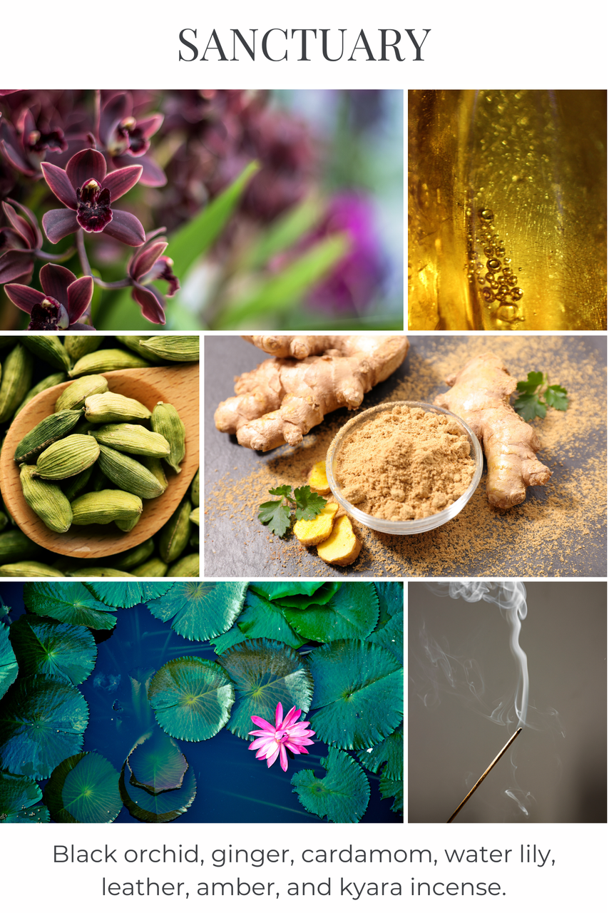 reed diffuser SANCTUARY - Thumbnail 2
