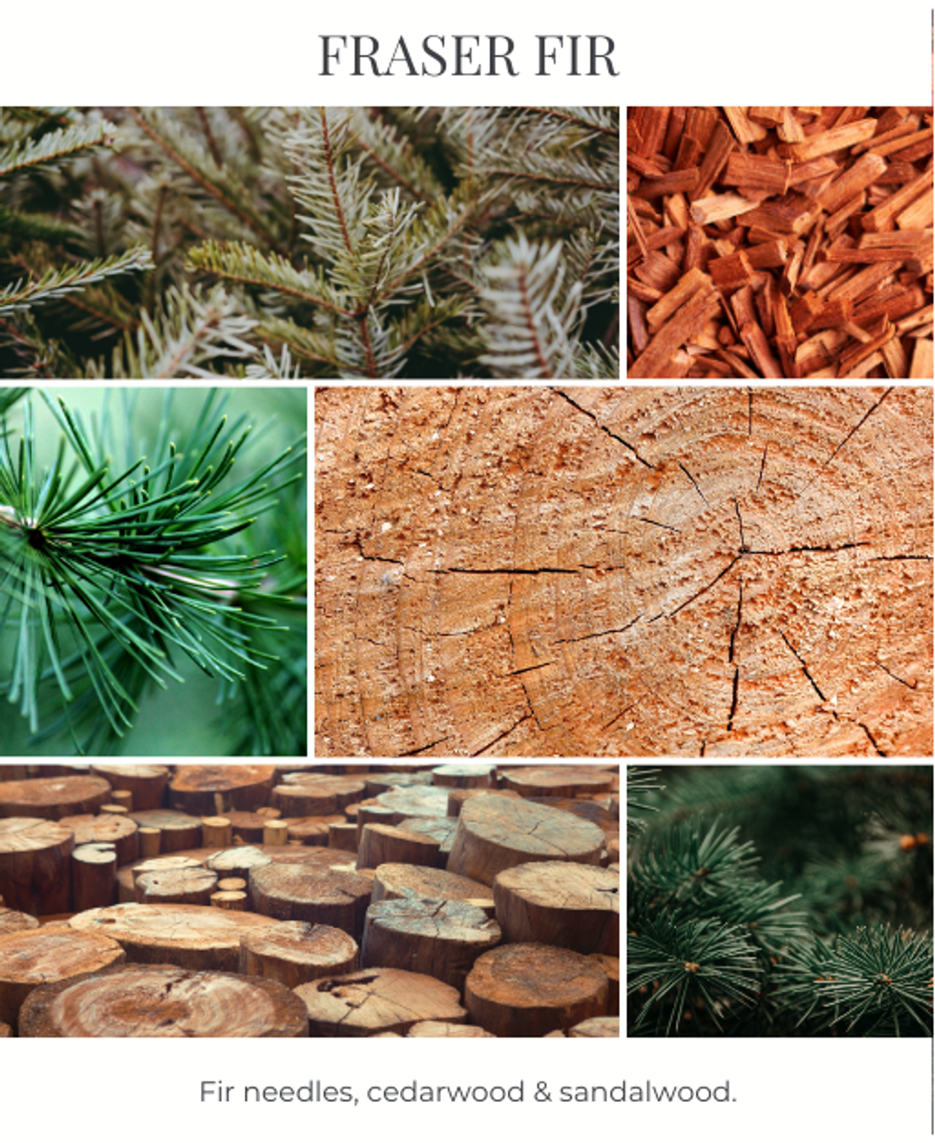 Fraser Fir Fraser Fir