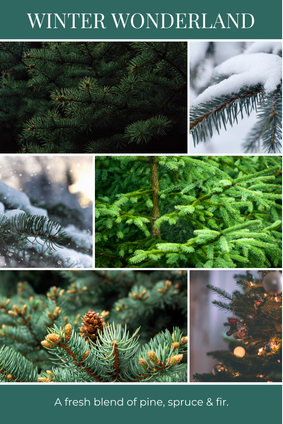 eco beans WINTER WONDERLAND