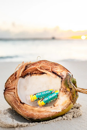 lip balm PINA COLADA