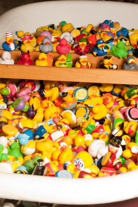 rubber DUCKIES