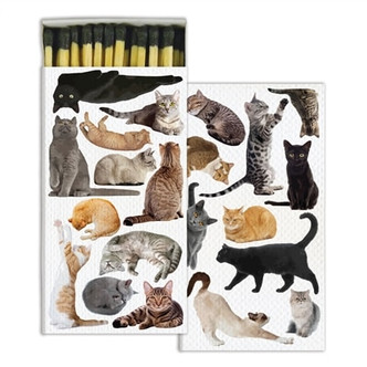 matches CAT PACK