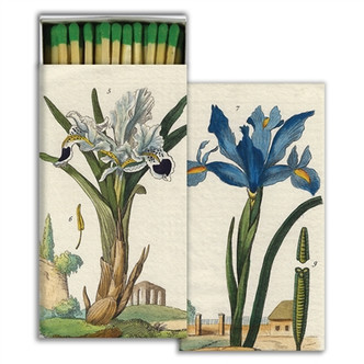 matches IRIS
