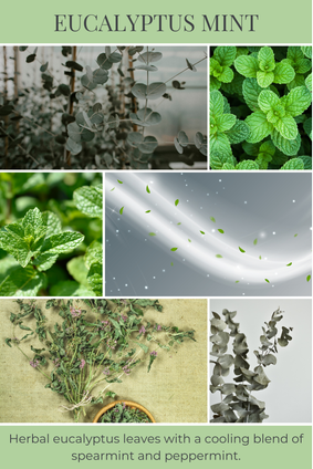 bath fizzy EUCALYPTUS MINT
