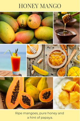 bath fizzy HONEY MANGO