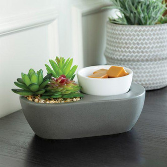 wax warmer ARTSCENTS SUCCULENT