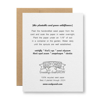 seedy card HANUKKAH seedy card HANUKKAH