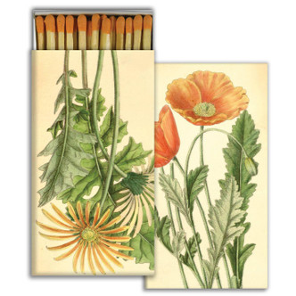 matches POPPY & GERBER DAISY