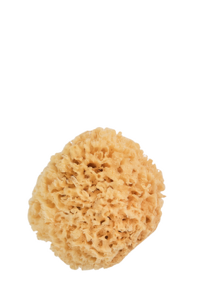 bath sponge mediterranean wool LARGE