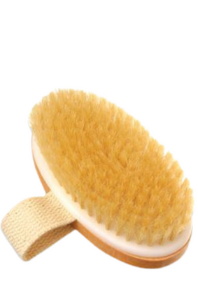 dry brush BOAR BRISTLE