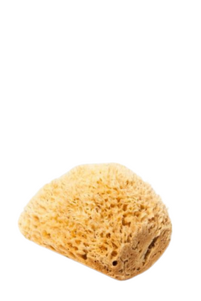bath sea sponge cut WOOL