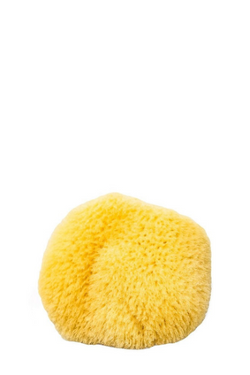 bath sea sponge form GRASS