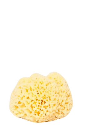 bath sea sponge form YELLOW