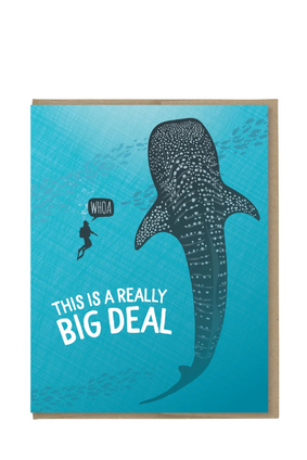 mpm card THIS IS A REALLY BIG DEAL
