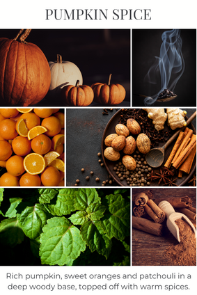 holiday mason PUMPKIN SPICE *NEW!