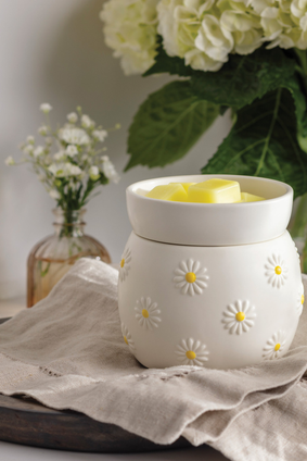 wax warmer DAISY