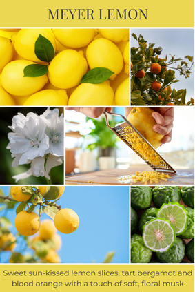 MEYER LEMON scent description: Sweet sun-kissed lemon slices, tart bergamot and blood orange with a touch of soft, floral musk