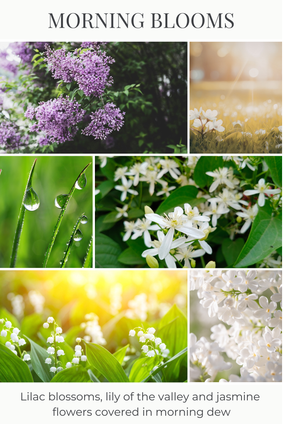 MORNING BLOOMS scent description: Lilac blossoms, lily of the valley and jasmine flowers covered in morning dew