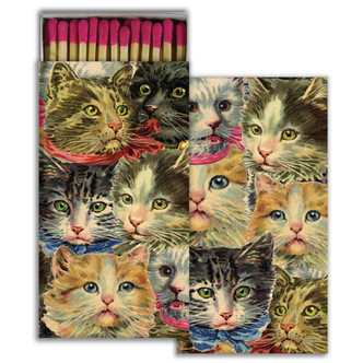 matches CAT CLUSTER