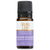 essential oil LAVENDER BULGARIAN