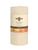 beeswax pillar 6" IVORY BD