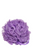 net jumbo sponge MAUVE