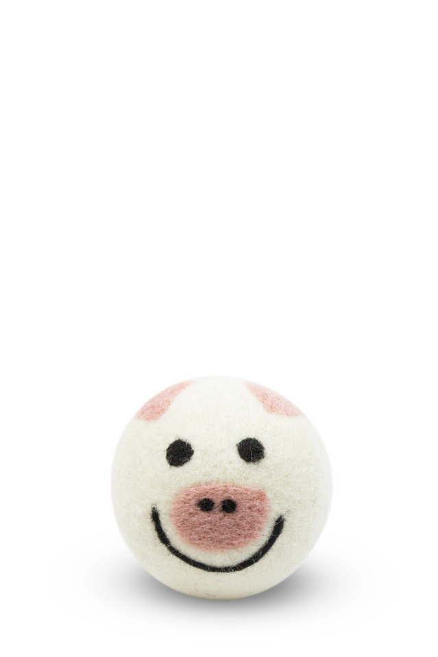 eco dryer ball PIG