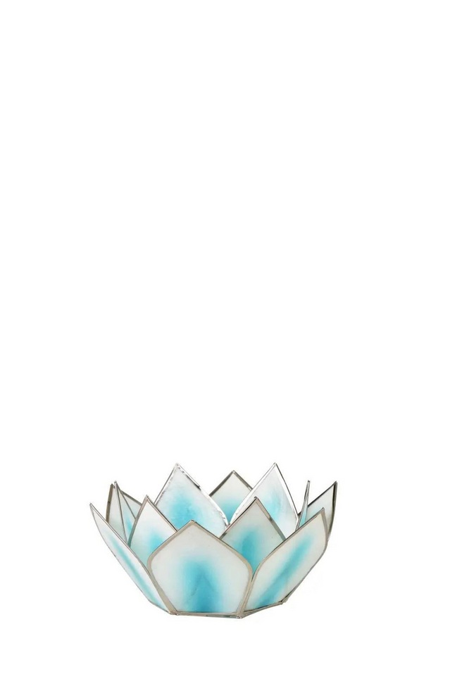 capiz dahlia lotus TURQUOISE