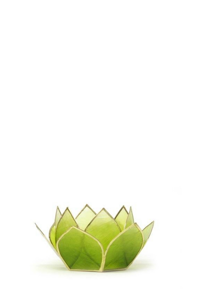 capiz gemstone lotus PERIDOT