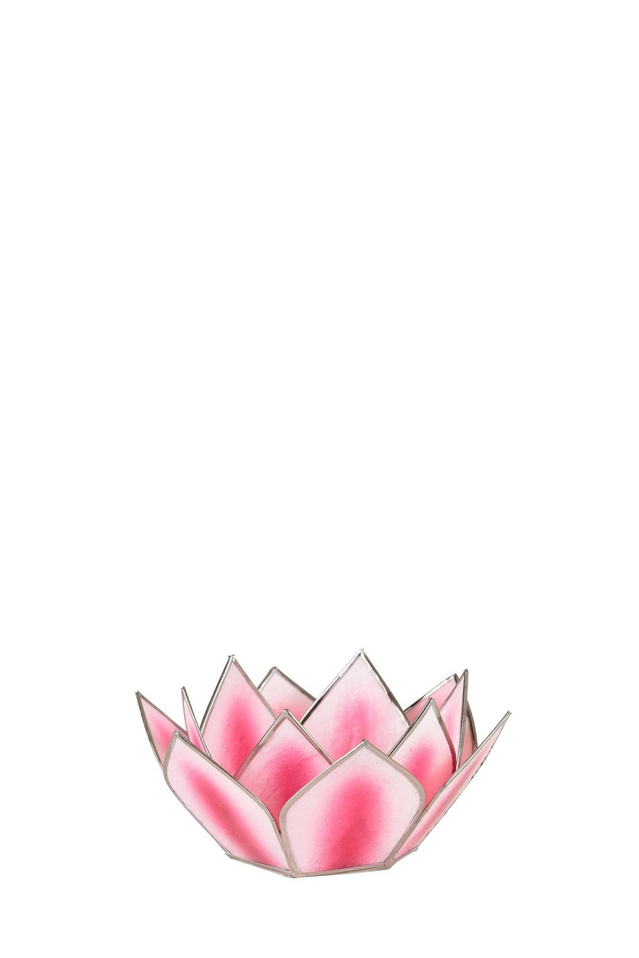 capiz dahlia lotus PINK