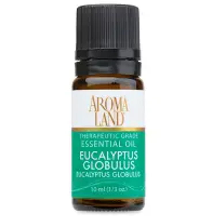 essential oil EUCALYPTUS GLOBULUS