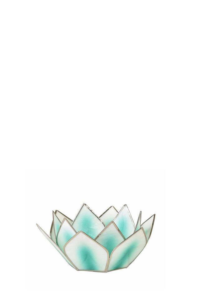 capiz dahlia lotus AQUA
