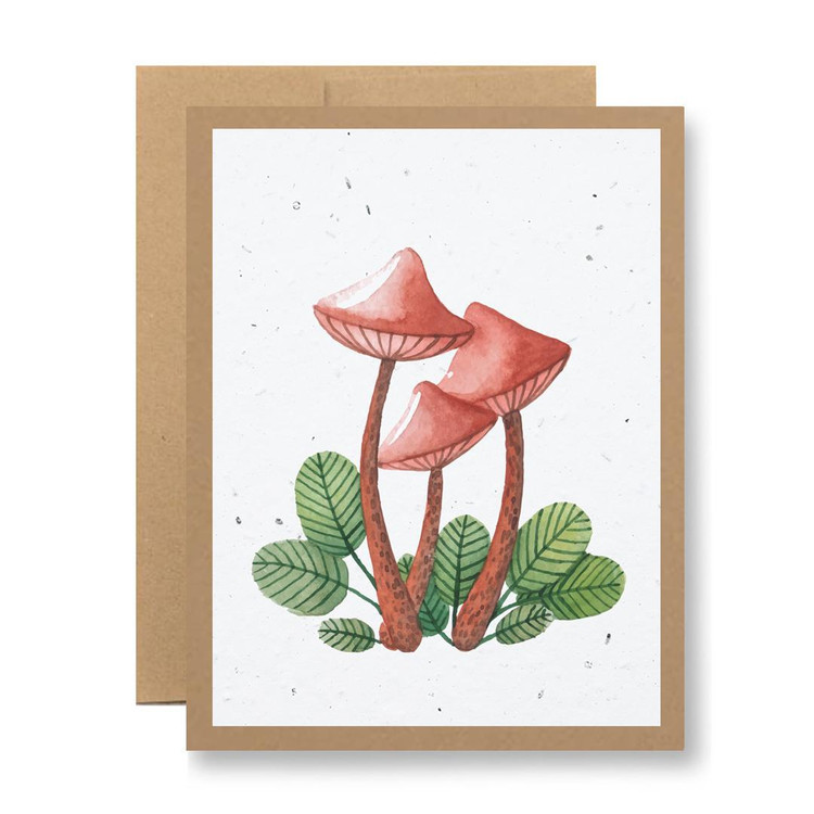 seedy card MUSHROOMS