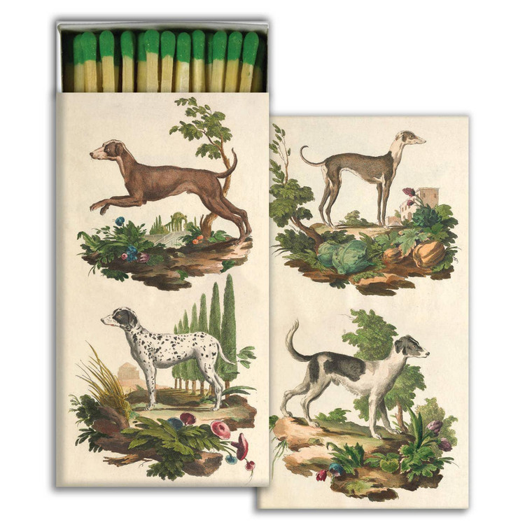 matches ITALIAN DOGS