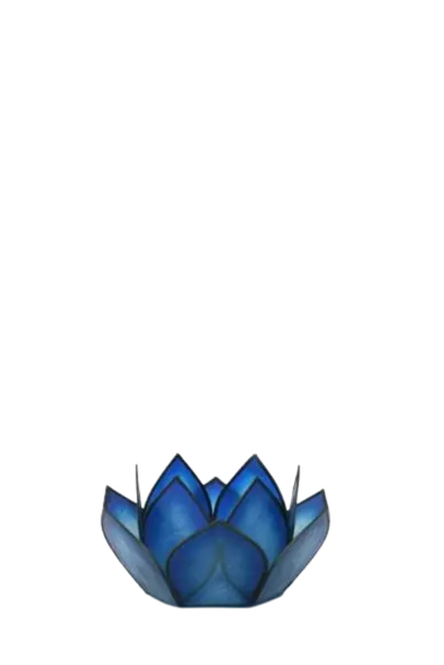 capiz paradise lotus BLUE LAGOON