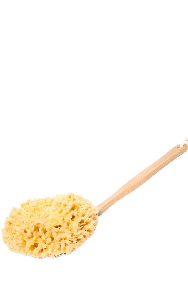wooden body sponge WOOL