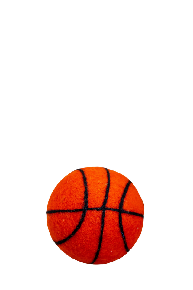 eco dryer ball BASKETBALL