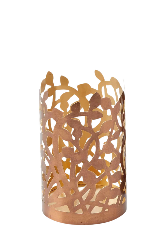 lantern CLIMBING VINE