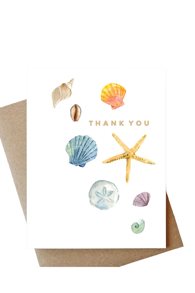 abigail jayne card THANK YOU SHELLS