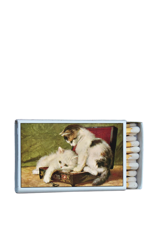 mini matches KITTENS