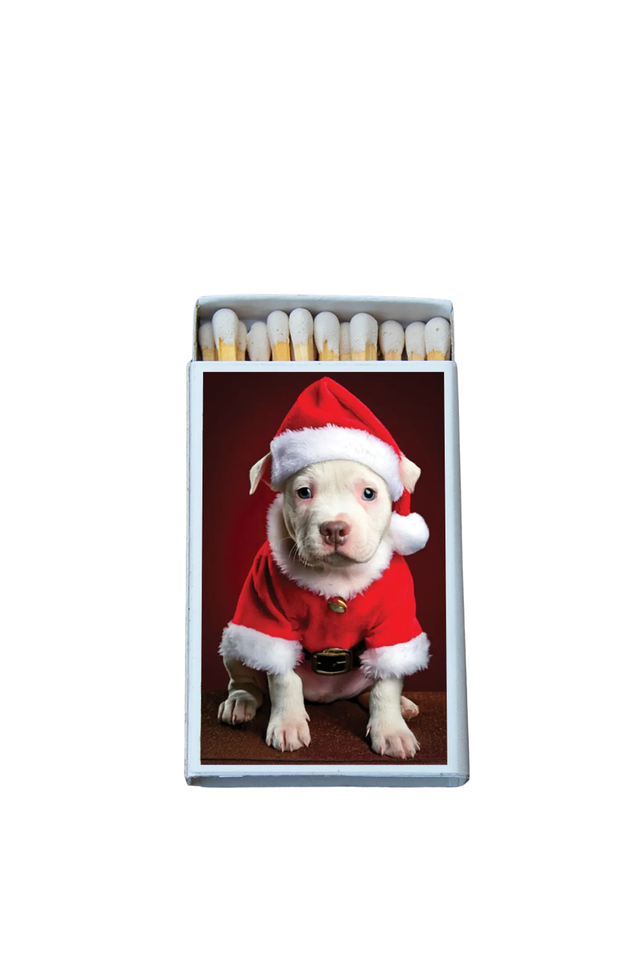 mini matches SANTA PUPPY PITBULL