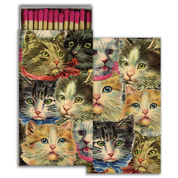 matches CAT CLUSTER