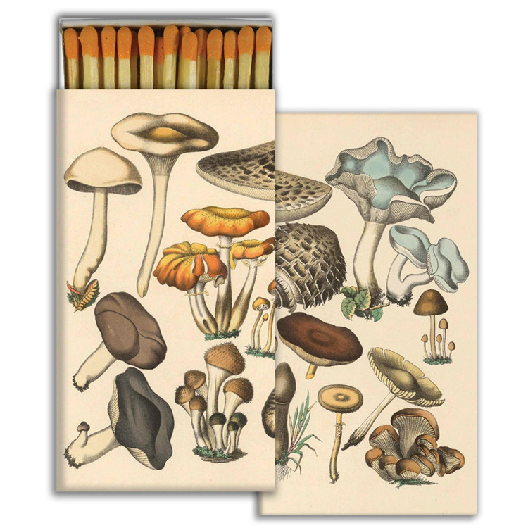 matches FORAGED MUSHROOMS