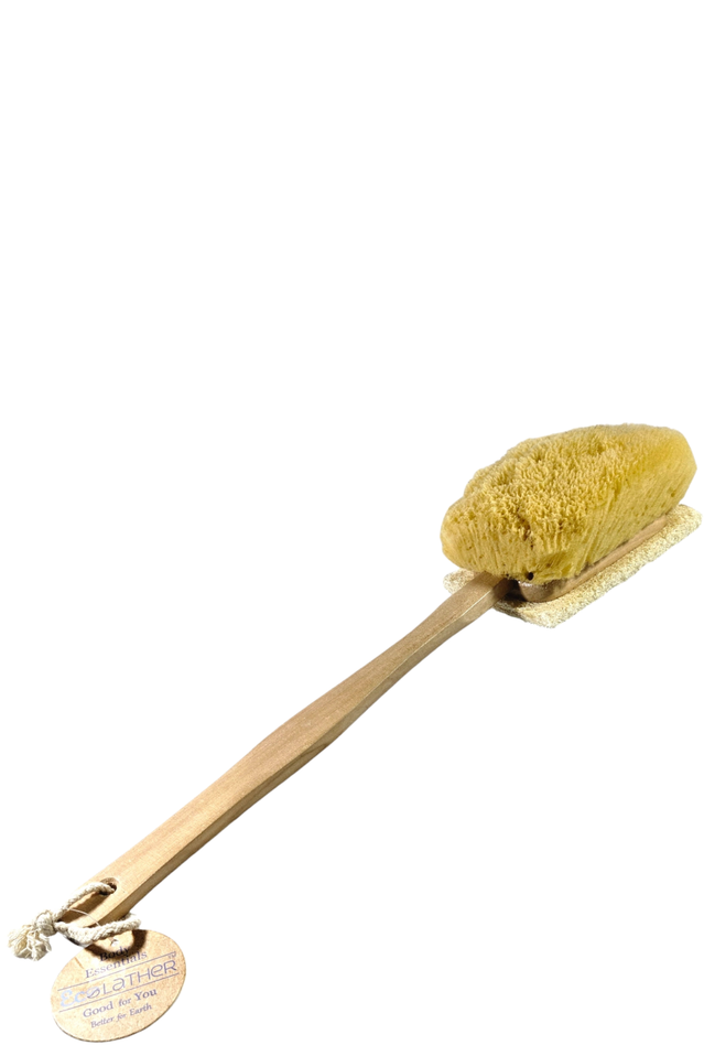 wooden body sponge 2-1 LOOFAH AND SEA SPONGE