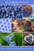 18oz BLUEBERRY PATCH