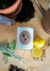 18oz LEMONGRASS SAGE