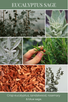 26oz EUCALYPTUS SAGE