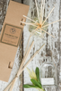 reed diffuser LEMONGRASS SAGE