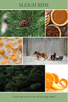 reed diffuser SLEIGH RIDE