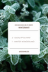 eco beans EUCALYPTUS MINT